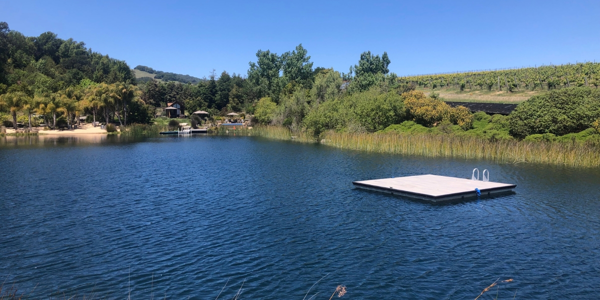 Why an AccuDock Swim Platform is the Ultimate Summer Upgrade